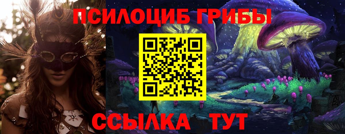 Камень-на-Оби  Галлюциногенные грибы мицелий  Вход с VPN 