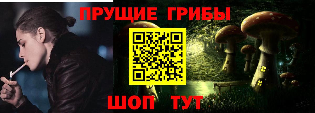 Псилоцибиновые грибы Cubensis Камень-на-Оби